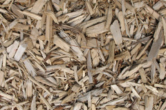 biomass boilers Trefrize
